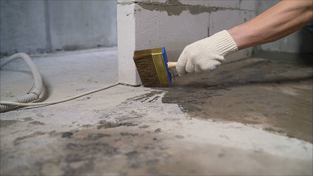SJ Waterproofing Pros Waterproofing coverage map for Portland, MI and surrounding area